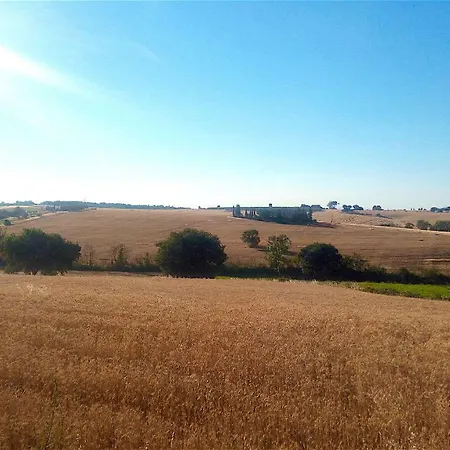Fonte Pecciano 1856 Casamaggiore
